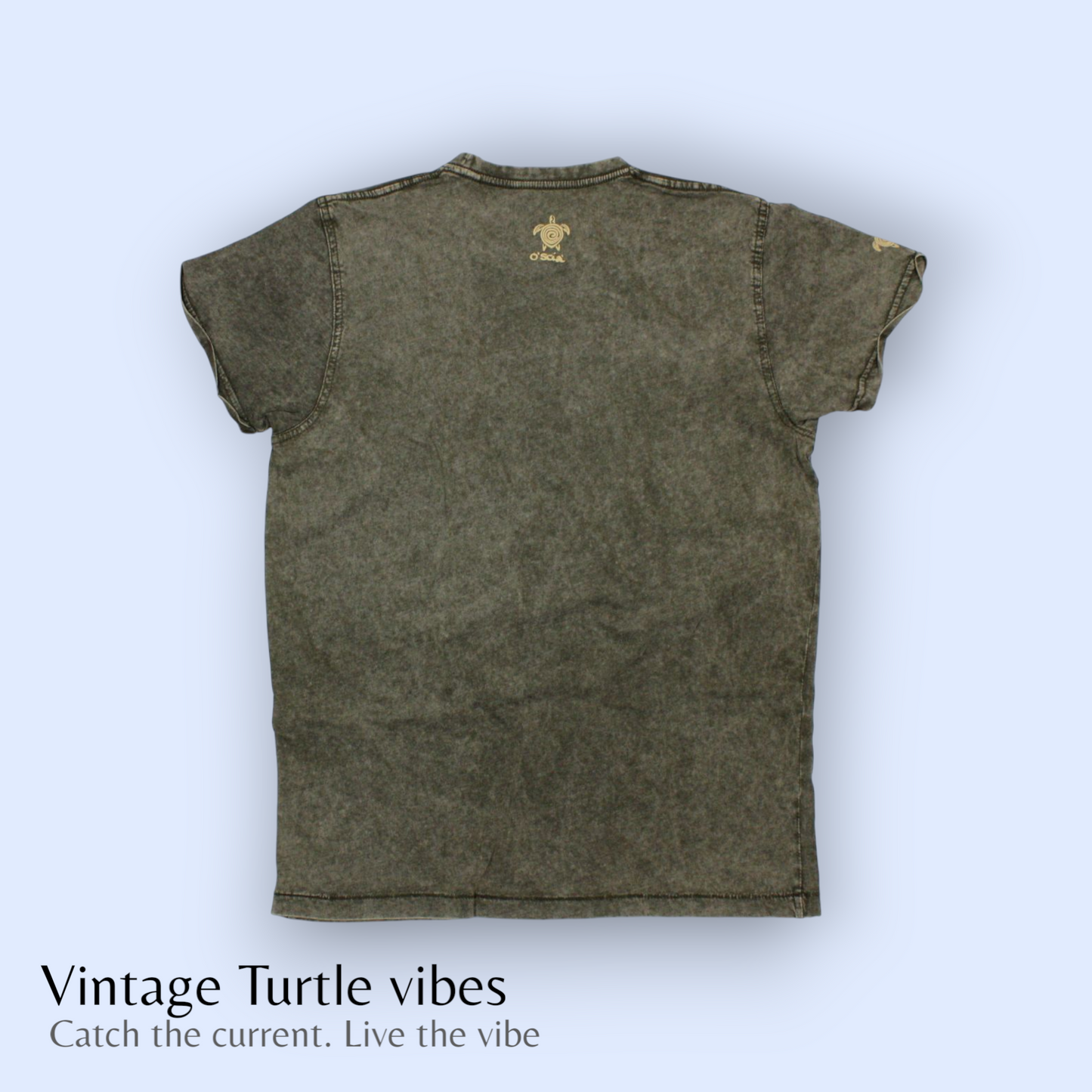 Vintage Turtle Vibes