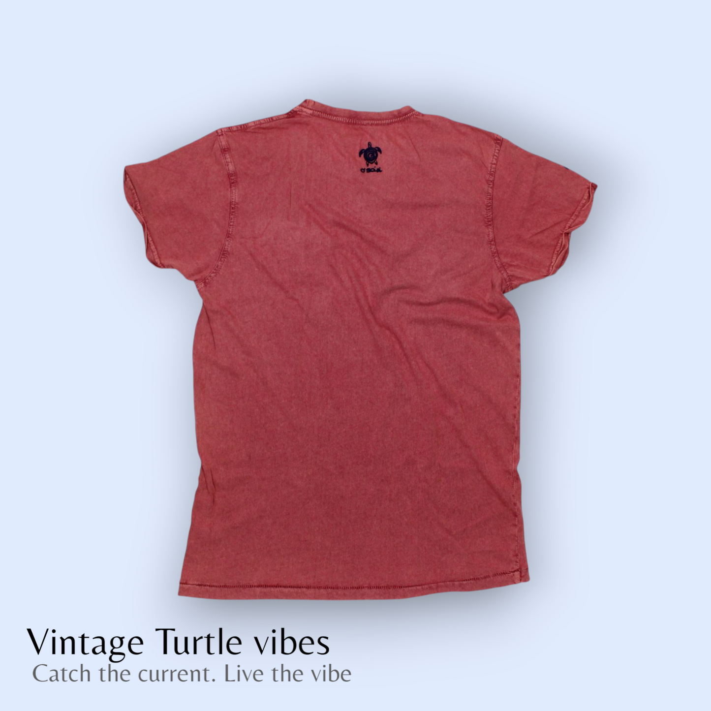 Vintage Turtle Vibes