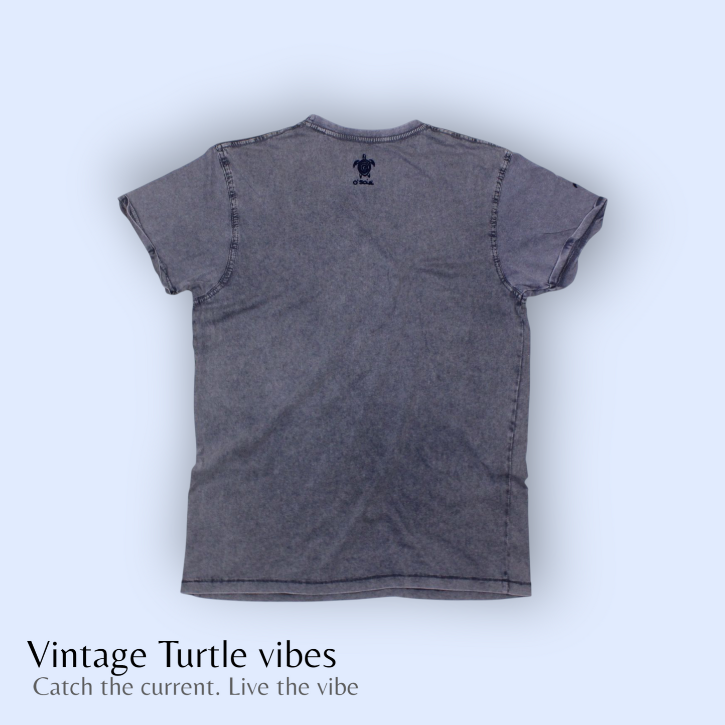 Vintage Turtle Vibes
