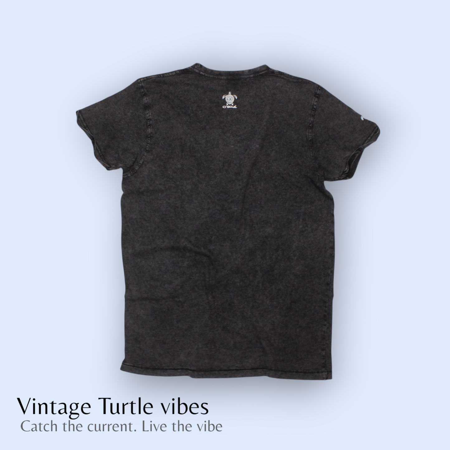 Vintage Turtle Vibes