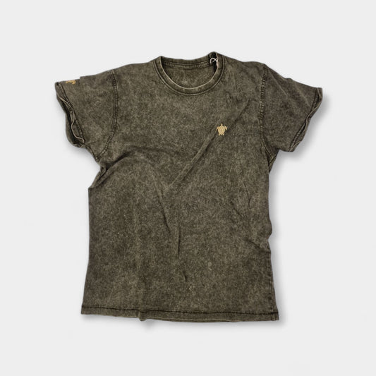 Vintage Turtle Vibes